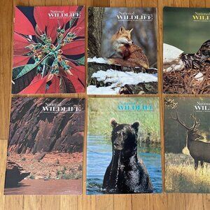 Vintage National wildlife magazine—1976